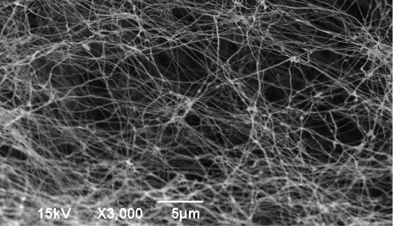 Micrografia eletrônica - Colágeno Humano - Biocelltis Biotecnologia